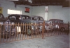 199011-05-parkes-auto-museum